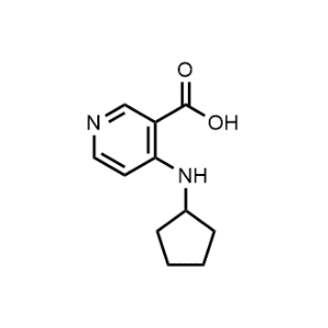 4-(Cyclopentylamino)nicotinic acid|CS-1166768