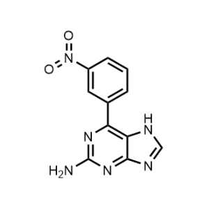 6-(3-Nitrophenyl)-7H-purin-2-amine|CS-1167284