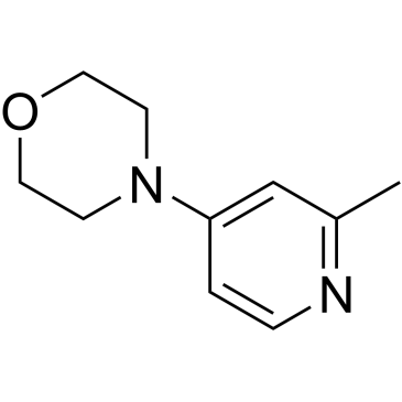 4-(2-Methylpyridin-4-yl)morpholine|CS-1167562