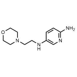 N5-(2-Morpholinoethyl)pyridine-2,5-diamine|CS-1169196