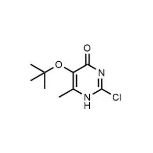 5-(Tert-butoxy)-2-chloro-6-methylpyrimidin-4(1H)-one|CS-1169356