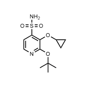 2-(Tert-butoxy)-3-cyclopropoxypyridine-4-sulfonamide|CS-1169464
