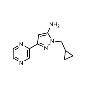 1-(Cyclopropylmethyl)-3-(pyrazin-2-yl)-1H-pyrazol-5-amine|CS-1169903