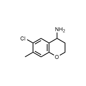 6-Chloro-7-methylchroman-4-amine|CS-1170015