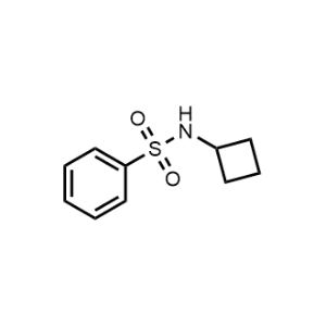 N-Cyclobutylbenzenesulfonamide|CS-1170705