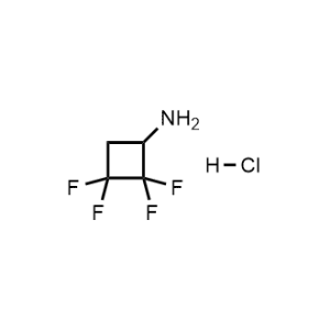 2,2,3,3-Tetrafluorocyclobutan-1-amine hydrochloride|CS-1170777