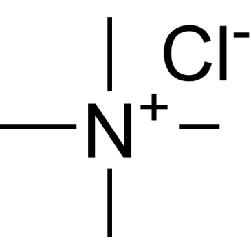 TMA chloride, for molecular biology, 99%(T)|CS-1170863