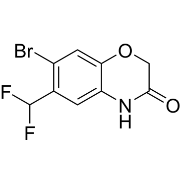7-Bromo-6-(difluoromethyl)-2H-benzo[b][1,4]oxazin-3(4H)-one|CS-1173253