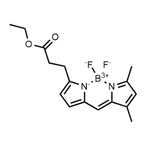 Ethyl 3-(5,5-difluoro-7,9-dimethyl-5H-5lambda4,6lambda4-dipyrrolo[1,2-c:2',1'-f][1,3,2]diazaborinin-3-yl)propanoate|CS-1179120