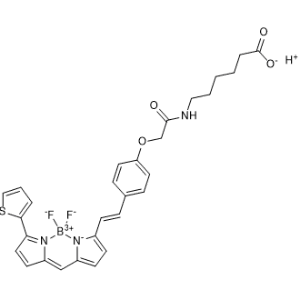 Hydrogen 6-(2-(4-(2-(5,5-difluoro-7-(thiophen-2-yl)-5H-5lambda4,6lambda4-dipyrrolo[1,2-c:2',1'-f][1,3,2]diazaborinin-3-yl)vinyl)phenoxy)acetamido)hexanoate|CS-1179127