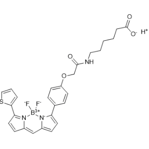 Hydrogen 6-(2-(4-(5,5-difluoro-7-(thiophen-2-yl)-5H-5lambda4,6lambda4-dipyrrolo[1,2-c:2',1'-f][1,3,2]diazaborinin-3-yl)phenoxy)acetamido)hexanoate|CS-1179128