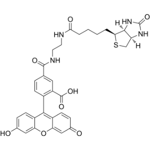 Biotin (5-fluorescein) conjugate|CS-1179145
