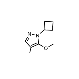 1-Cyclobutyl-4-iodo-5-methoxy-1H-pyrazole|CS-1180118