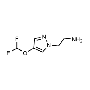 2-(4-(Difluoromethoxy)-1H-pyrazol-1-yl)ethan-1-amine|CS-1188841