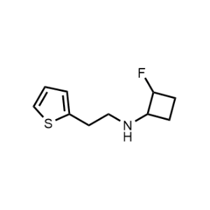2-Fluoro-N-(2-(thiophen-2-yl)ethyl)cyclobutan-1-amine|CS-1194809