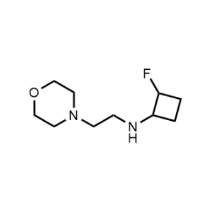 2-Fluoro-N-(2-morpholinoethyl)cyclobutan-1-amine|CS-1195992