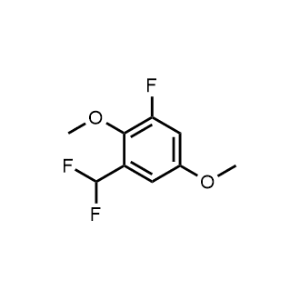 1-(Difluoromethyl)-3-fluoro-2,5-dimethoxybenzene|CS-1197644