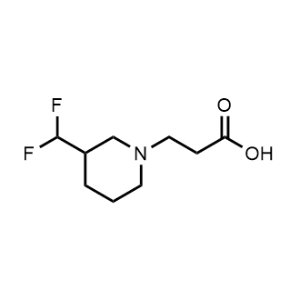 3-(3-(Difluoromethyl)piperidin-1-yl)propanoic acid|CS-1198300
