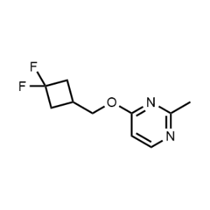 4-((3,3-Difluorocyclobutyl)methoxy)-2-methylpyrimidine|CS-1202205