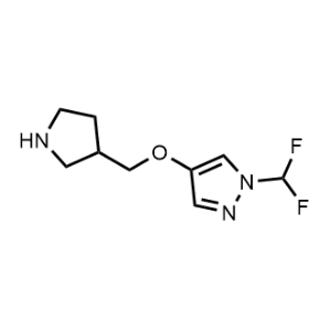 1-(Difluoromethyl)-4-(pyrrolidin-3-ylmethoxy)-1H-pyrazole|CS-1203500
