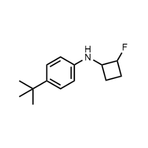4-(Tert-butyl)-N-(2-fluorocyclobutyl)aniline|CS-1205555