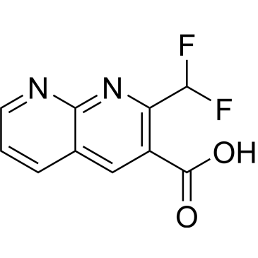2-(Difluoromethyl)-1,8-naphthyridine-3-carboxylic acid|CS-1206710