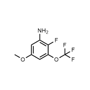 2-Fluoro-5-methoxy-3-(trifluoromethoxy)aniline|CS-1207095