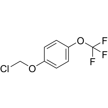 1-(Chloromethoxy)-4-(trifluoromethoxy)benzene|CS-1207701