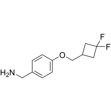 (4-((3,3-Difluorocyclobutyl)methoxy)phenyl)methanamine|CS-1208032