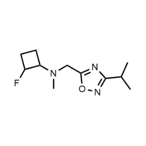 2-Fluoro-N-((3-isopropyl-1,2,4-oxadiazol-5-yl)methyl)-N-methylcyclobutan-1-amine|CS-1208054