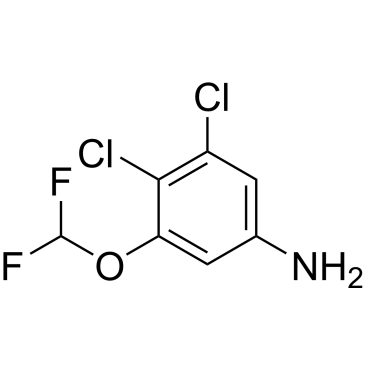 3,4-Dichloro-5-(difluoromethoxy)aniline|CS-1208173