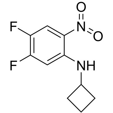 N-Cyclobutyl-4,5-difluoro-2-nitroaniline|CS-1208373