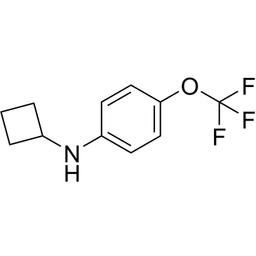 N-Cyclobutyl-4-(trifluoromethoxy)aniline|CS-1209666