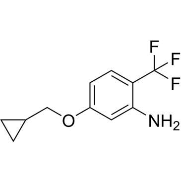 5-(Cyclopropylmethoxy)-2-(trifluoromethyl)aniline|CS-1209703