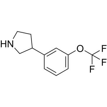 3-(3-(Trifluoromethoxy)phenyl)pyrrolidine|CS-1209711