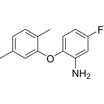 2-(2,5-Dimethylphenoxy)-5-fluoroaniline|CS-1209840