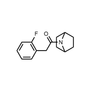 1-(7-Azabicyclo[2.2.1]heptan-7-yl)-2-(2-fluorophenyl)ethan-1-one|CS-1210875