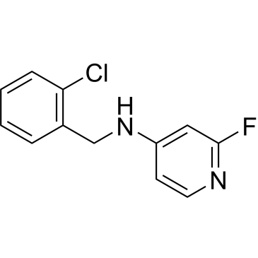N-(2-Chlorobenzyl)-2-fluoropyridin-4-amine|CS-1212043