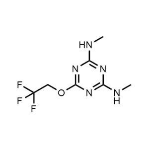 N2,N4-Dimethyl-6-(2,2,2-trifluoroethoxy)-1,3,5-triazine-2,4-diamine|CS-1212186