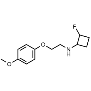 2-Fluoro-N-(2-(4-methoxyphenoxy)ethyl)cyclobutan-1-amine|CS-1213200