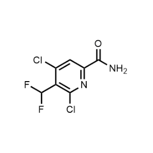 4,6-Dichloro-5-(difluoromethyl)picolinamide|CS-1213724
