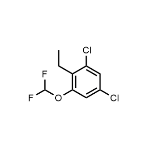 1,5-Dichloro-3-(difluoromethoxy)-2-ethylbenzene|CS-1213751