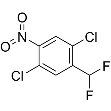 1,4-Dichloro-2-(difluoromethyl)-5-nitrobenzene|CS-1214273