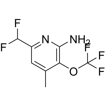 6-(Difluoromethyl)-4-methyl-3-(trifluoromethoxy)pyridin-2-amine|CS-1214415
