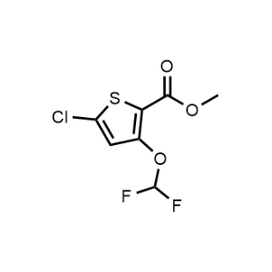 Methyl 5-chloro-3-(difluoromethoxy)thiophene-2-carboxylate|CS-1214681
