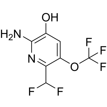 2-Amino-6-(difluoromethyl)-5-(trifluoromethoxy)pyridin-3-ol|CS-1215175