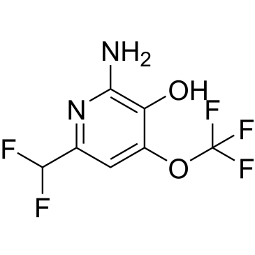 2-Amino-6-(difluoromethyl)-4-(trifluoromethoxy)pyridin-3-ol|CS-1215189