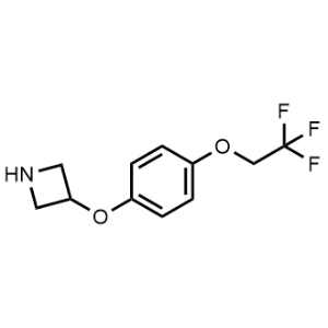3-(4-(2,2,2-Trifluoroethoxy)phenoxy)azetidine|CS-1216559