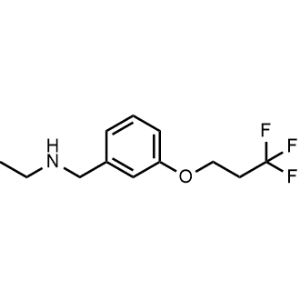 N-(3-(3,3,3-Trifluoropropoxy)benzyl)ethanamine|CS-1216674