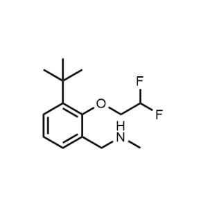 1-(3-(Tert-butyl)-2-(2,2-difluoroethoxy)phenyl)-N-methylmethanamine|CS-1221002